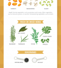 Learn How To Make A Nutritious And Delicious Veggie Soup Base Infographic