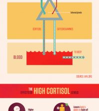 Learn How Stress Affects Your Life And Health Infographic