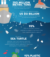 Where Does Your Trash End Up: The Ugly Journey Infographic