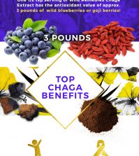 Learn What Is Chaga And Why It Needs A Place In Your Diet Infographic