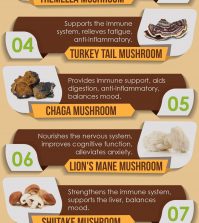 Medicinal Mushrooms For Natural Healing Infographic