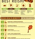 Reishi Mushrooms For Better Health: What You Need To Know Infographic