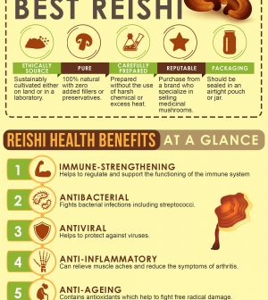 reishi health mushrooms mushroom infographic