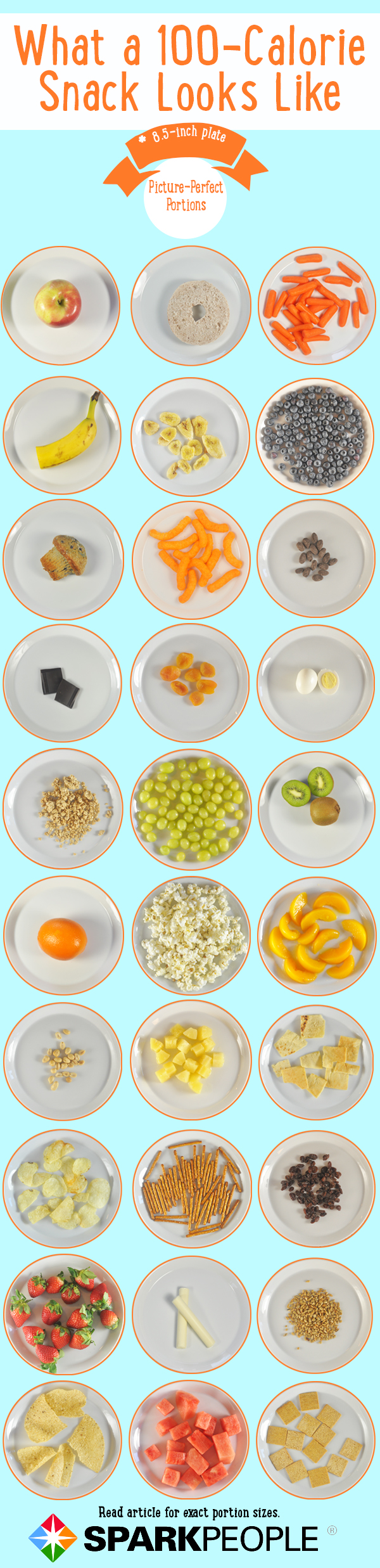 A 100-Calorie Snack: What Does It Look Like? Infographic