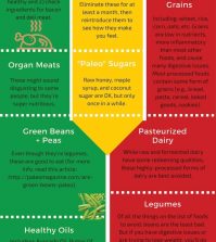 The Ultimate Paleo Diet Food List Infographic