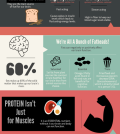 Want To Be Smarter? Here Are Some Foods That Can Help Infographic