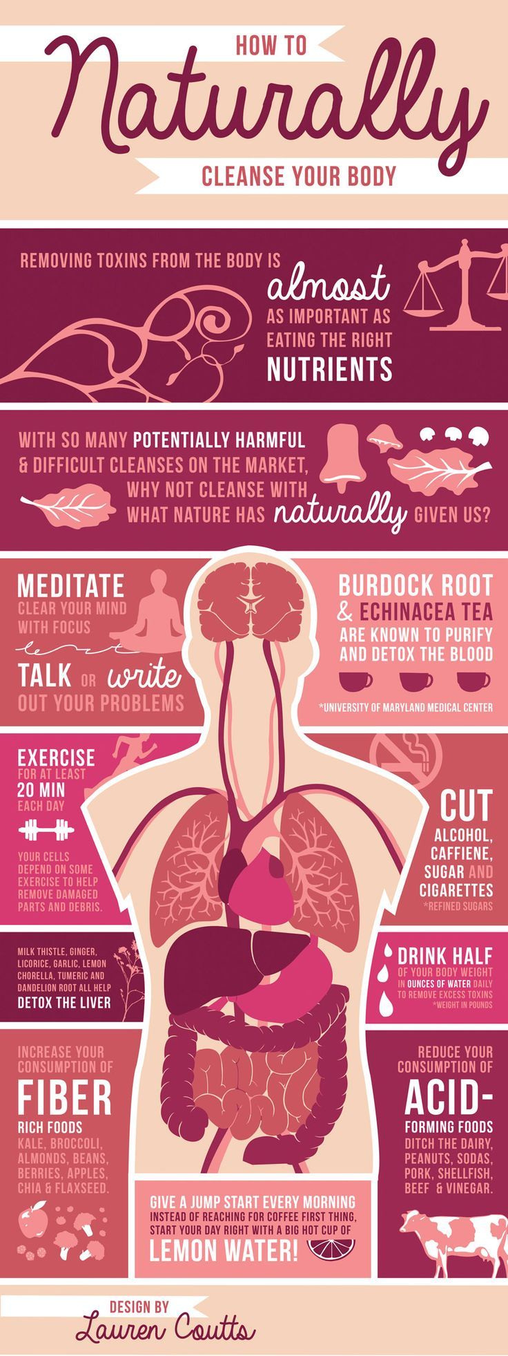 Your Comprehensive Guide To Natural Body Cleanse (Detox) Infographic