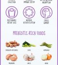 Prebiotics: Their Health Benefits And Best Sources Infographic