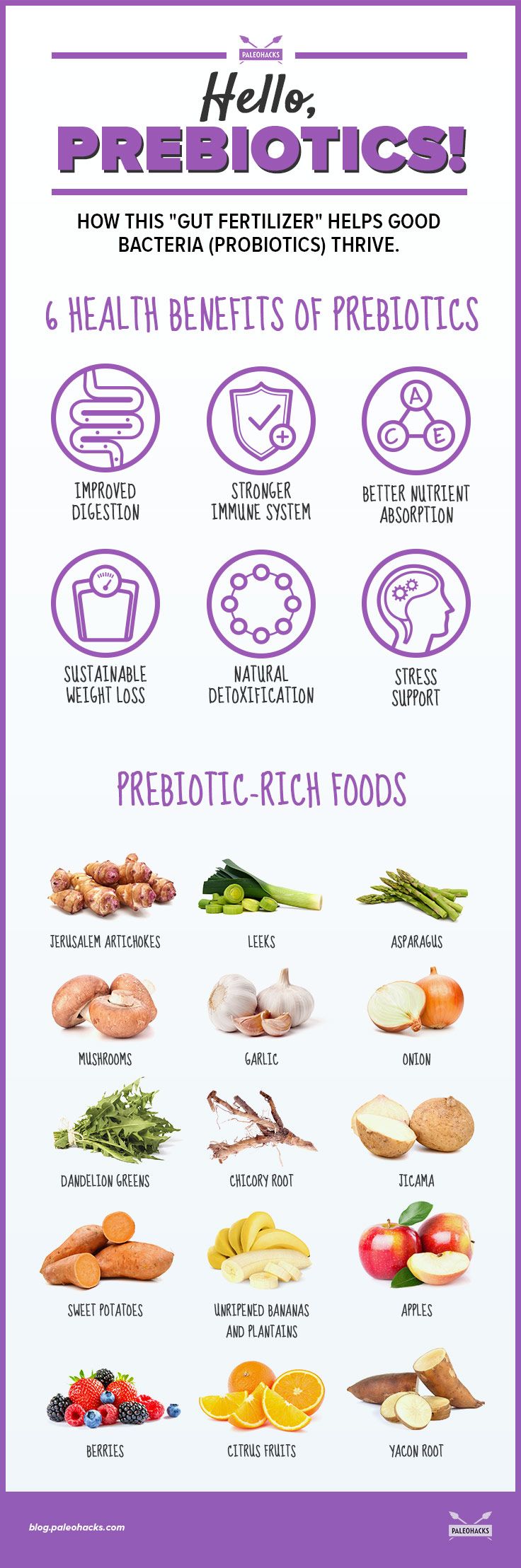 Prebiotics: Their Health Benefits And Best Sources Infographic