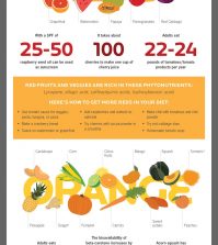 What Your Grandma Never Taught You About Fruits And Vegetables Infographic