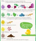 Skip The Chemicals With This Eco-Friendly Easter Egg Dyeing Guide Infographic