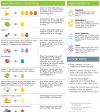 Everything You Need To Know About Natural Easter Egg Dyeing Infographic