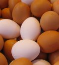 What’s The Real Difference Between Brown And White Eggs? Video