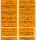 13 Amazing Reasons To Use Apple Cider Vinegar For Your Health Infographic