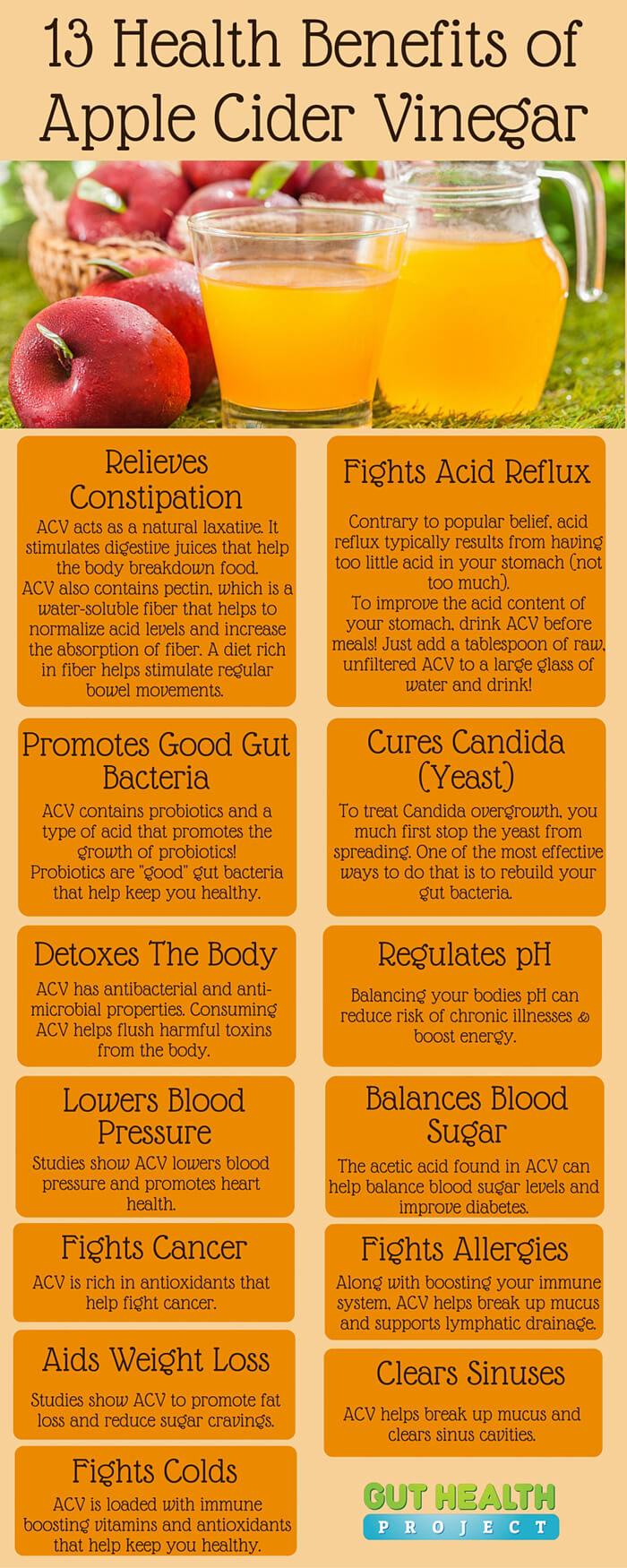 13 Amazing Reasons To Use Apple Cider Vinegar For Your Health Infographic