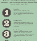 5 Amazing Health Benefits Of Drinking Kombucha Infographic