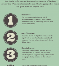 5 Amazing Health Benefits Of Drinking Kombucha Infographic