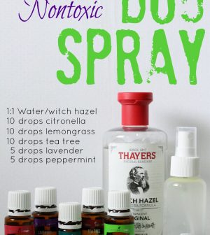 DIY Nontoxic Bug Spray Recipe To Solve All Your Mosquito Problems ...