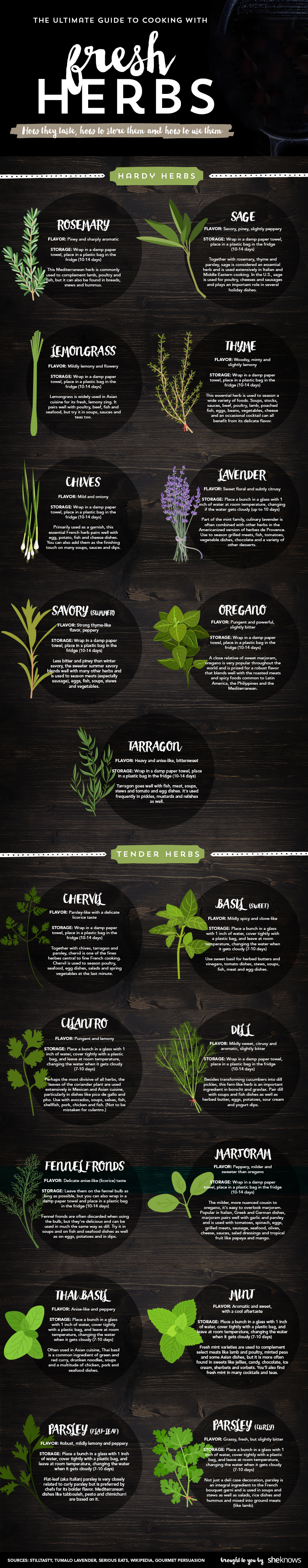 Popular Fresh Herbs For Cooking: Their Tastes And Best Uses Infographic