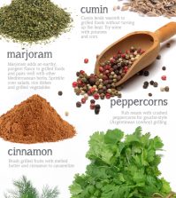 Grill With A Thrill: The Best Grilling Spices To Use Infographic