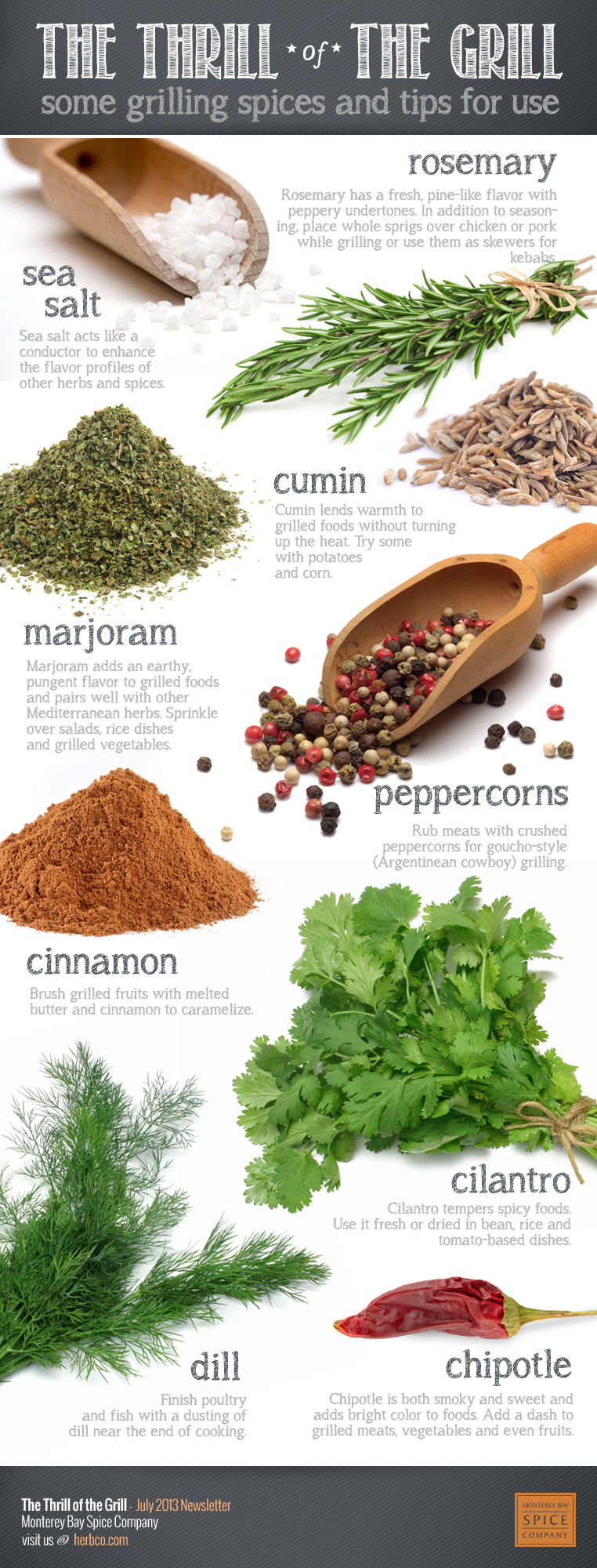 Grill With A Thrill: The Best Grilling Spices To Use Infographic