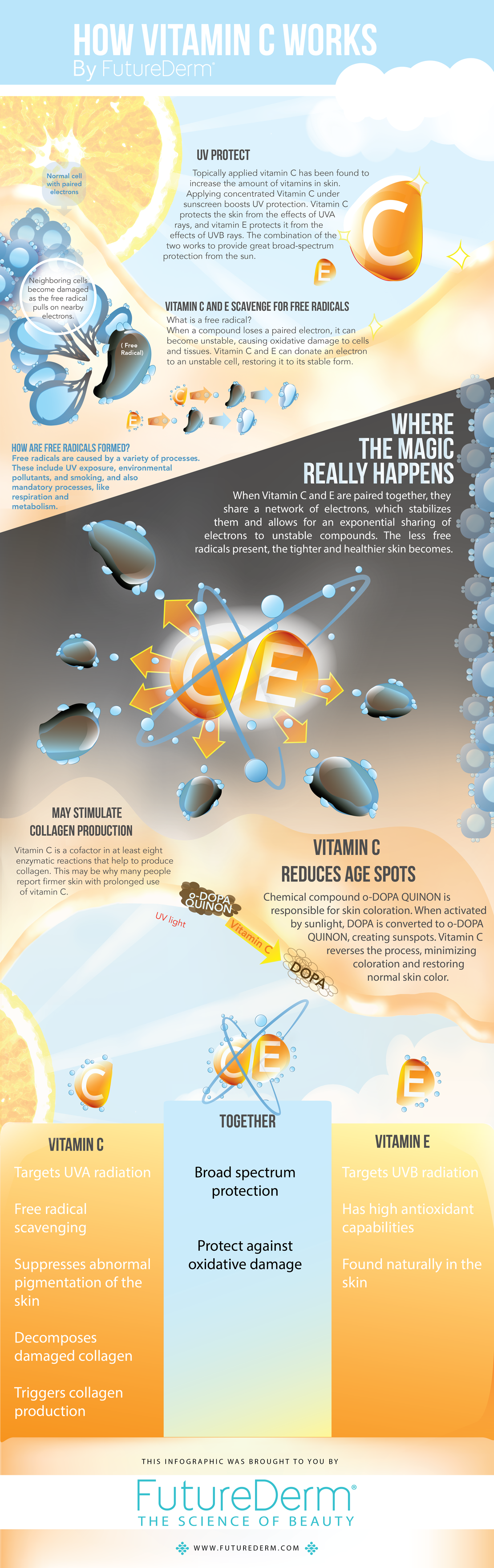 Learn How Vitamin C Works For Your Skin Infographic
