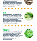 The Most Effect Acne-Fighting Herbs For Perfectly Clear Skin Infographic