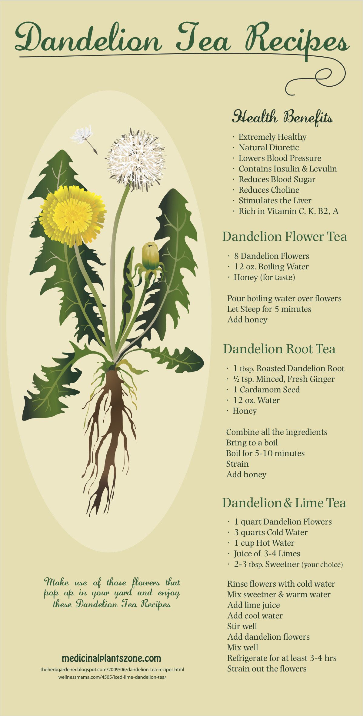 dandelion-root