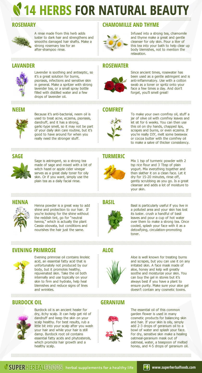 Top 14 Herbs For Natural Health And Beauty Infographic