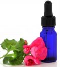 5 Reasons To Always Have A Bottle Of Geranium Essential Oil At Hand Video