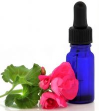 5 Reasons To Always Have A Bottle Of Geranium Essential Oil At Hand Video