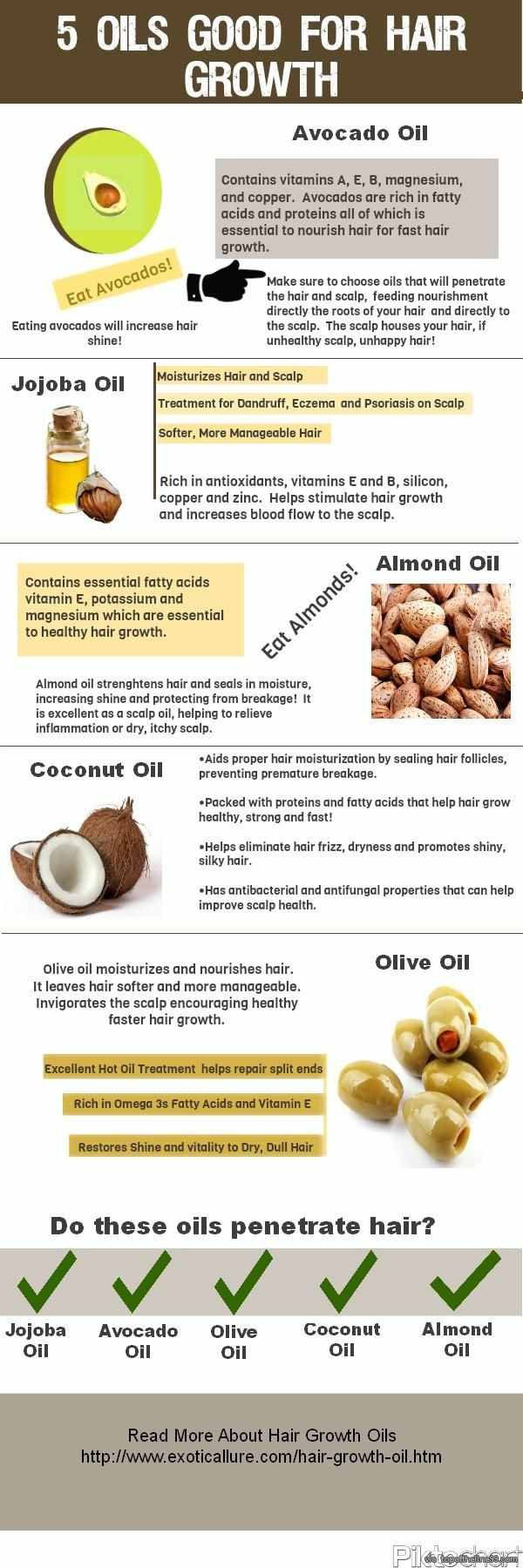 Top 5 Oils To Use For Hair Growth Infographic