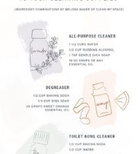 Make Chemicals-Free Cleaning Supplies Using Essential Oils Infographic
