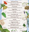 Your First Aid Kit – Herbal Essentials Infographic