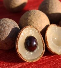 What Is Longan Fruit And How Can It Be Beneficial For You? Video